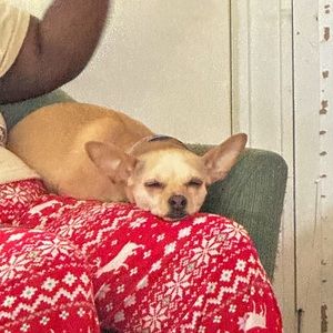 Meet your Posher, Sierra